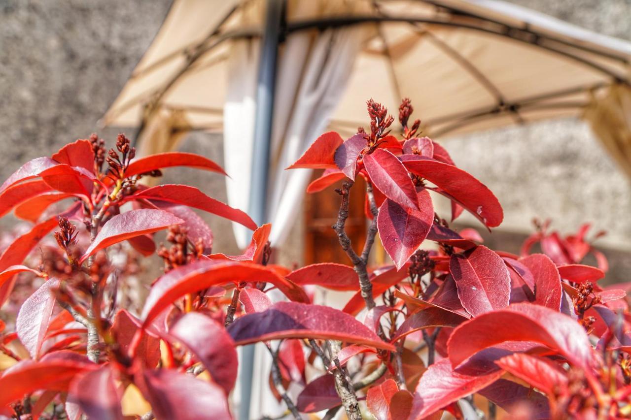 Casa Da Pietro Apartment Poggio Alla Croce Bagian luar foto